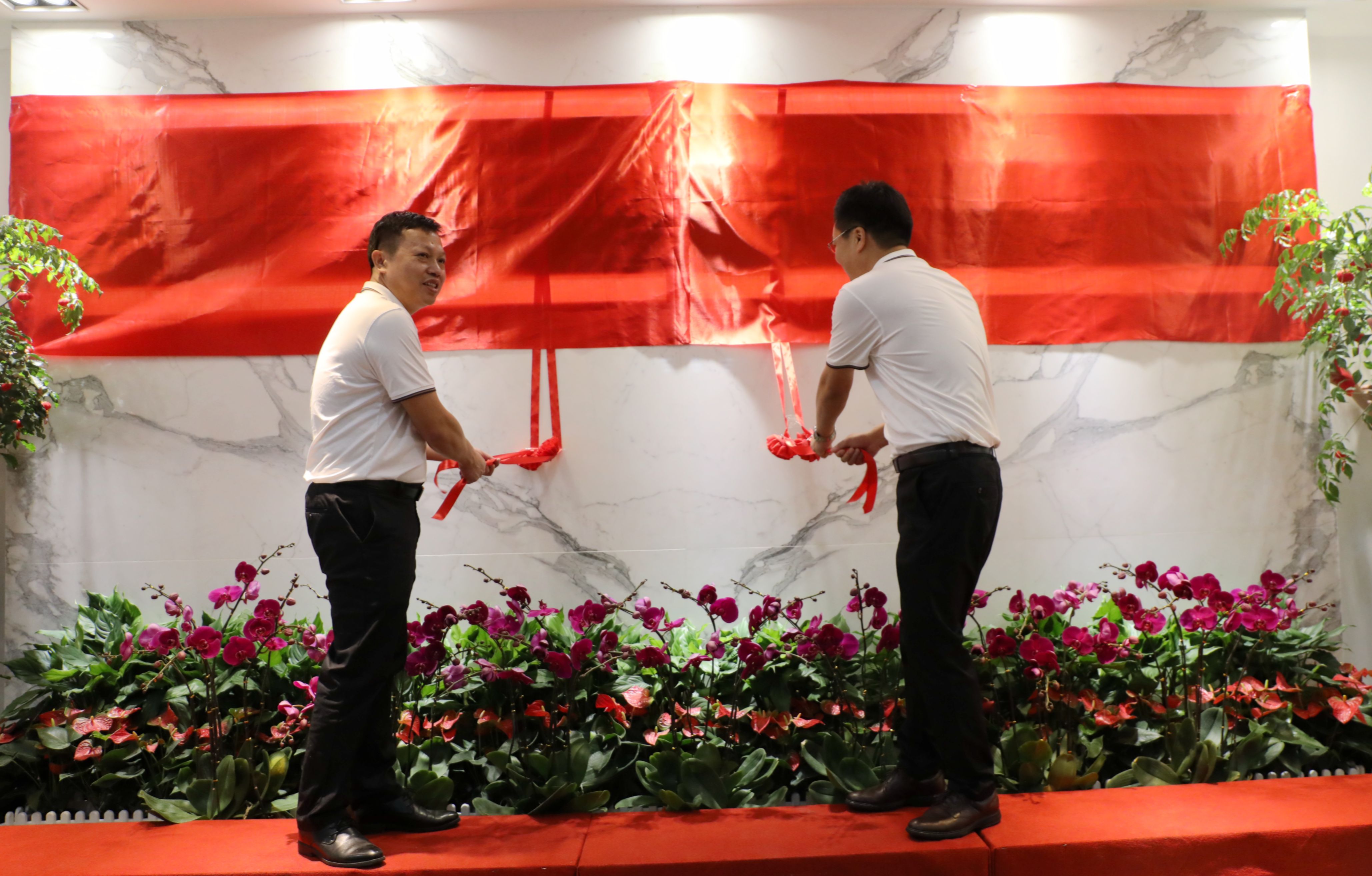 S36沙龙会 - 要玩就玩沙龙会