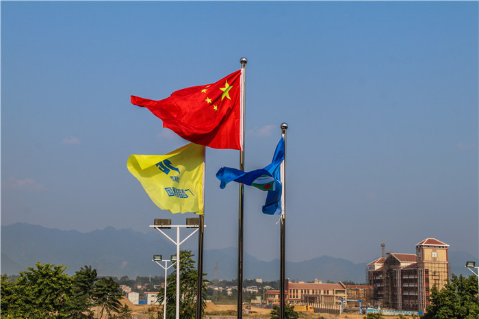 S36沙龙会 - 要玩就玩沙龙会