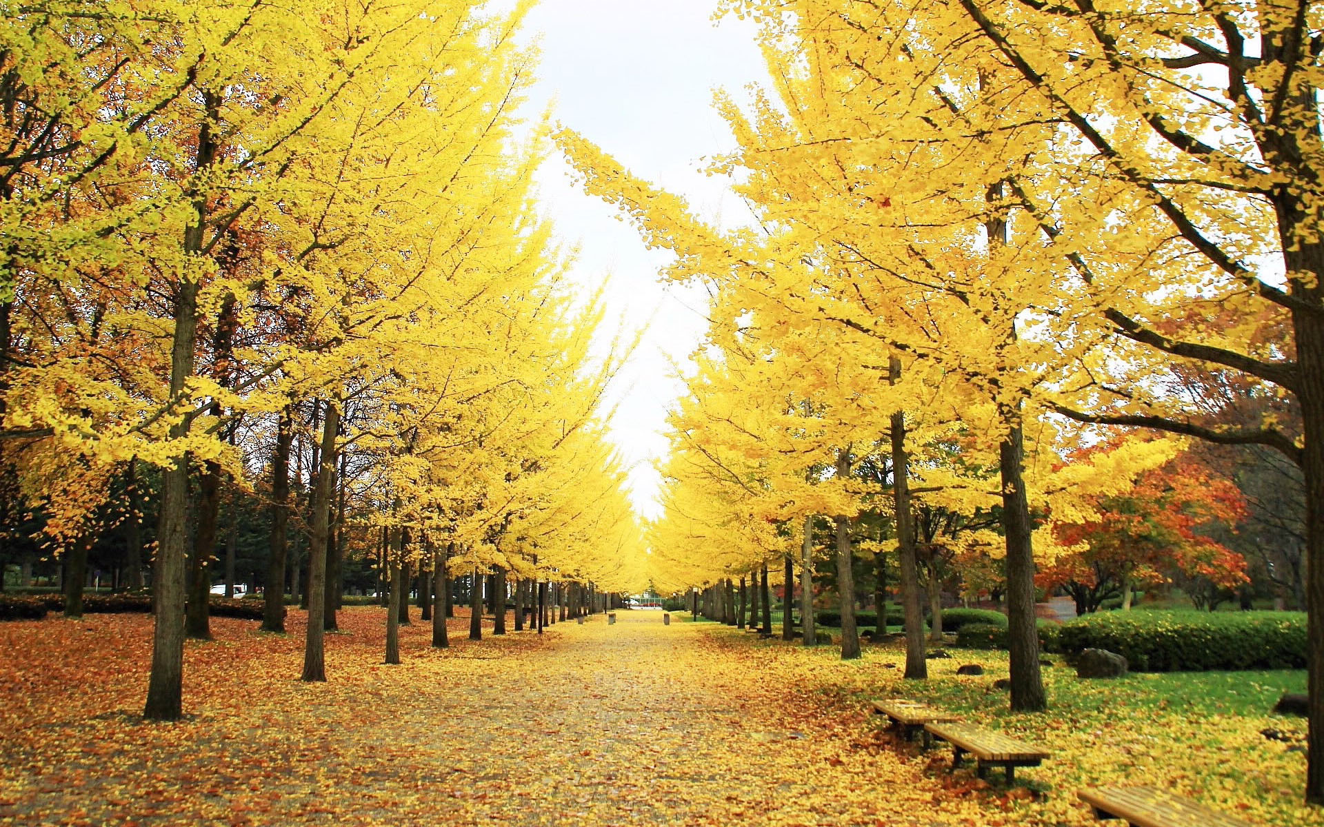 S36沙龙会 - 要玩就玩沙龙会