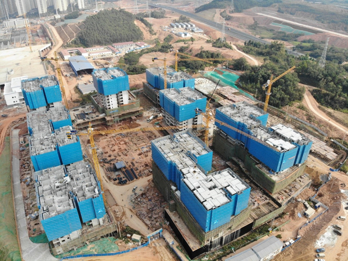 S36沙龙会 - 要玩就玩沙龙会