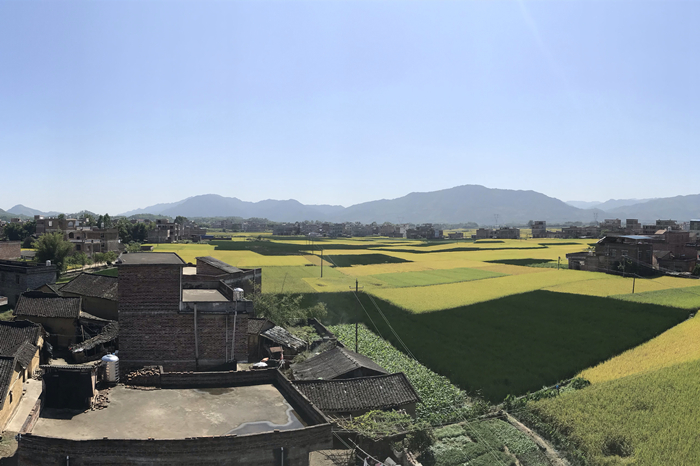 S36沙龙会 - 要玩就玩沙龙会