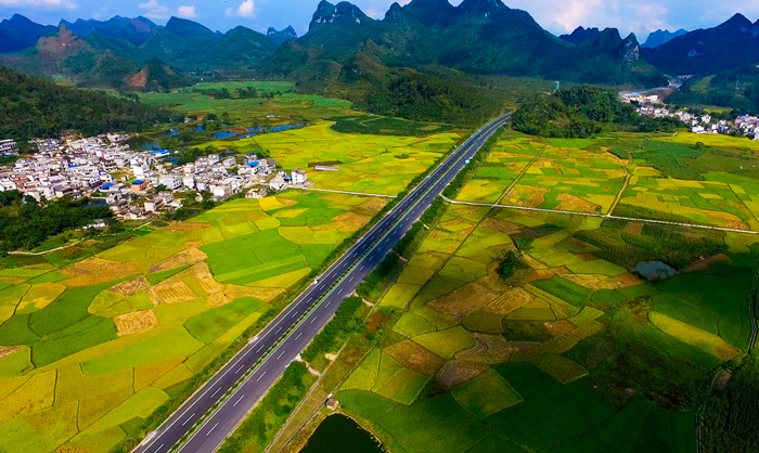 S36沙龙会 - 要玩就玩沙龙会