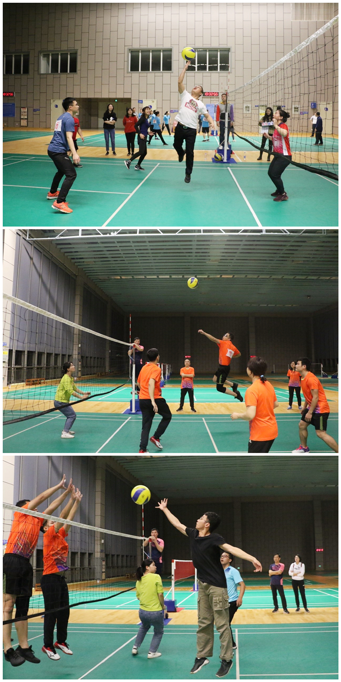 S36沙龙会 - 要玩就玩沙龙会