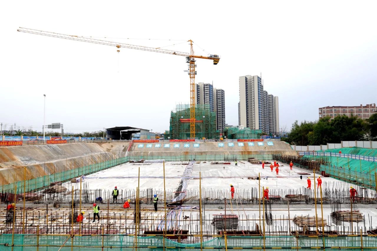 S36沙龙会 - 要玩就玩沙龙会