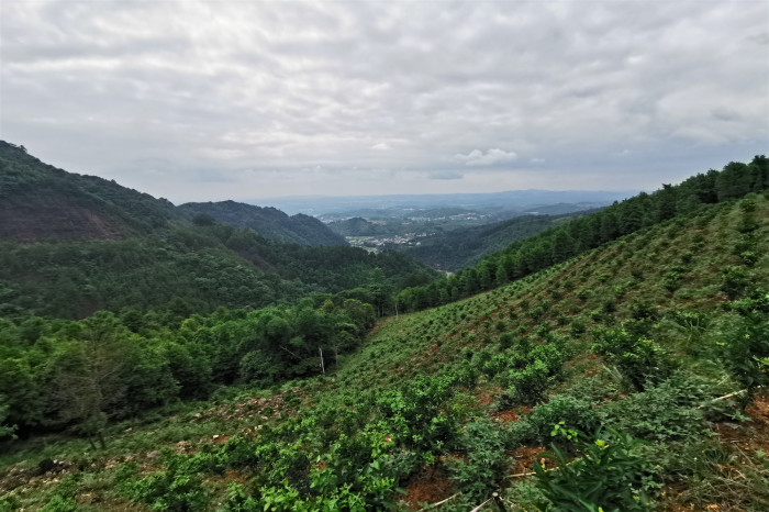 S36沙龙会 - 要玩就玩沙龙会