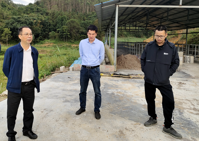 S36沙龙会 - 要玩就玩沙龙会