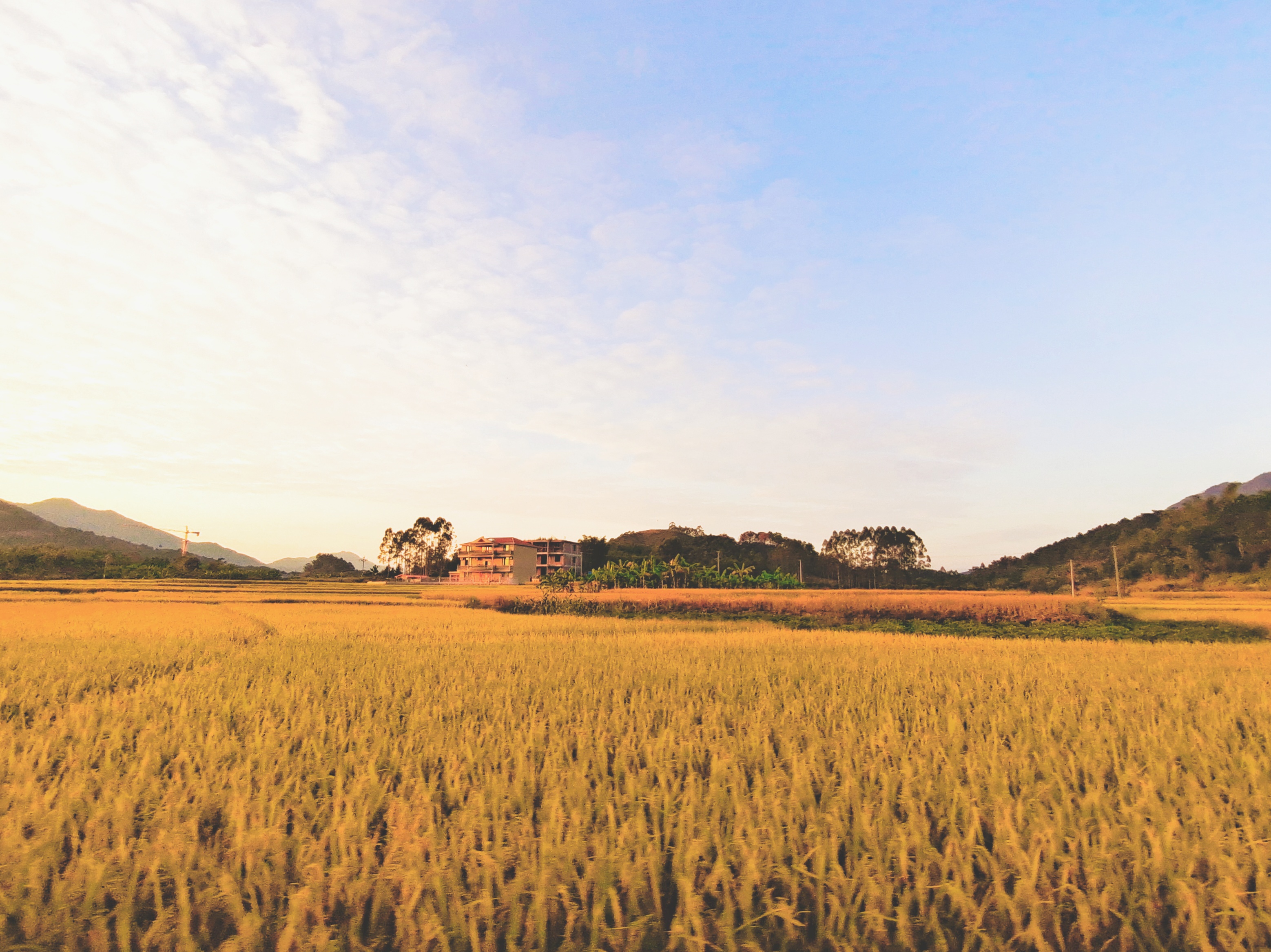 S36沙龙会 - 要玩就玩沙龙会