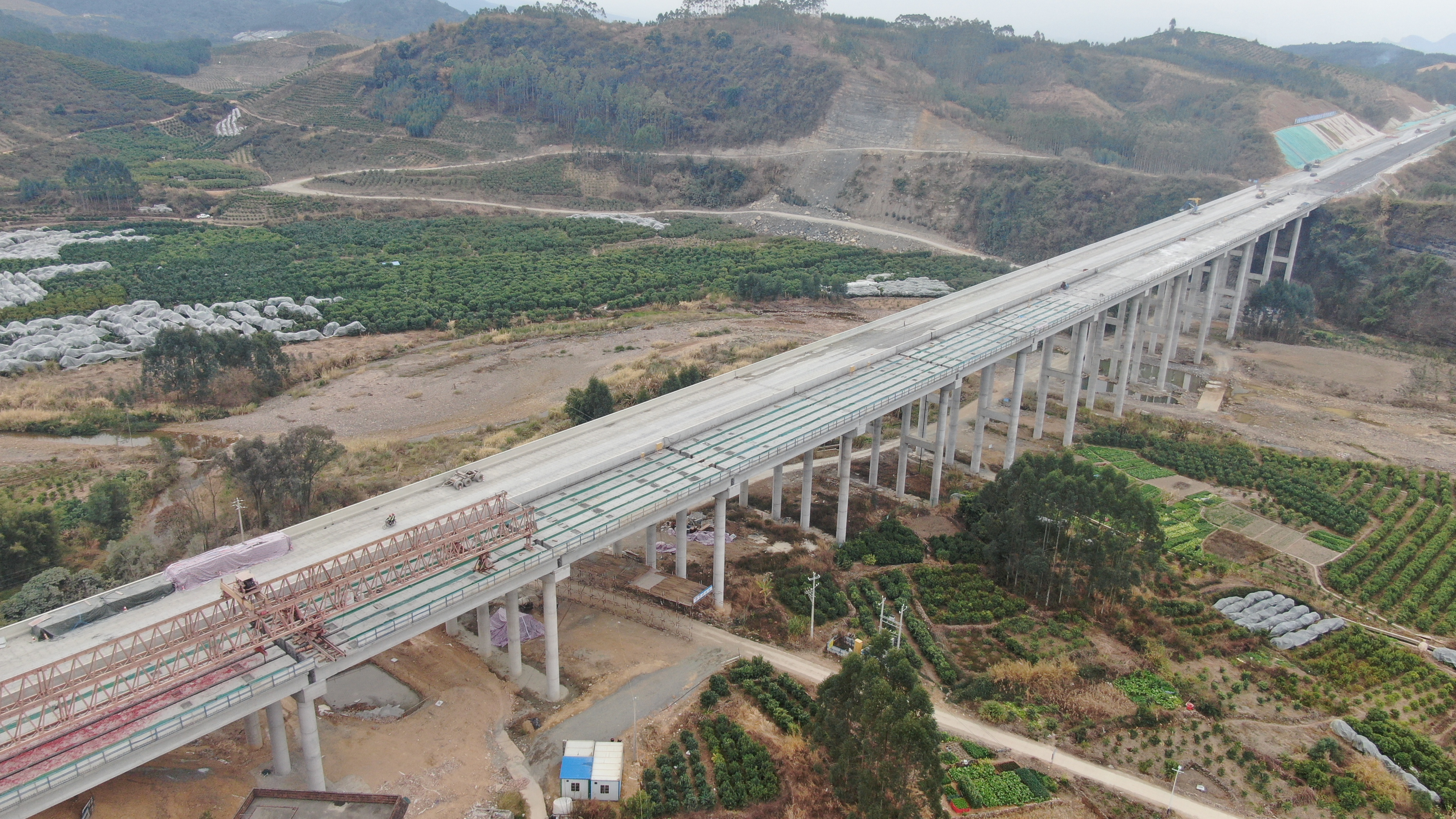 S36沙龙会 - 要玩就玩沙龙会