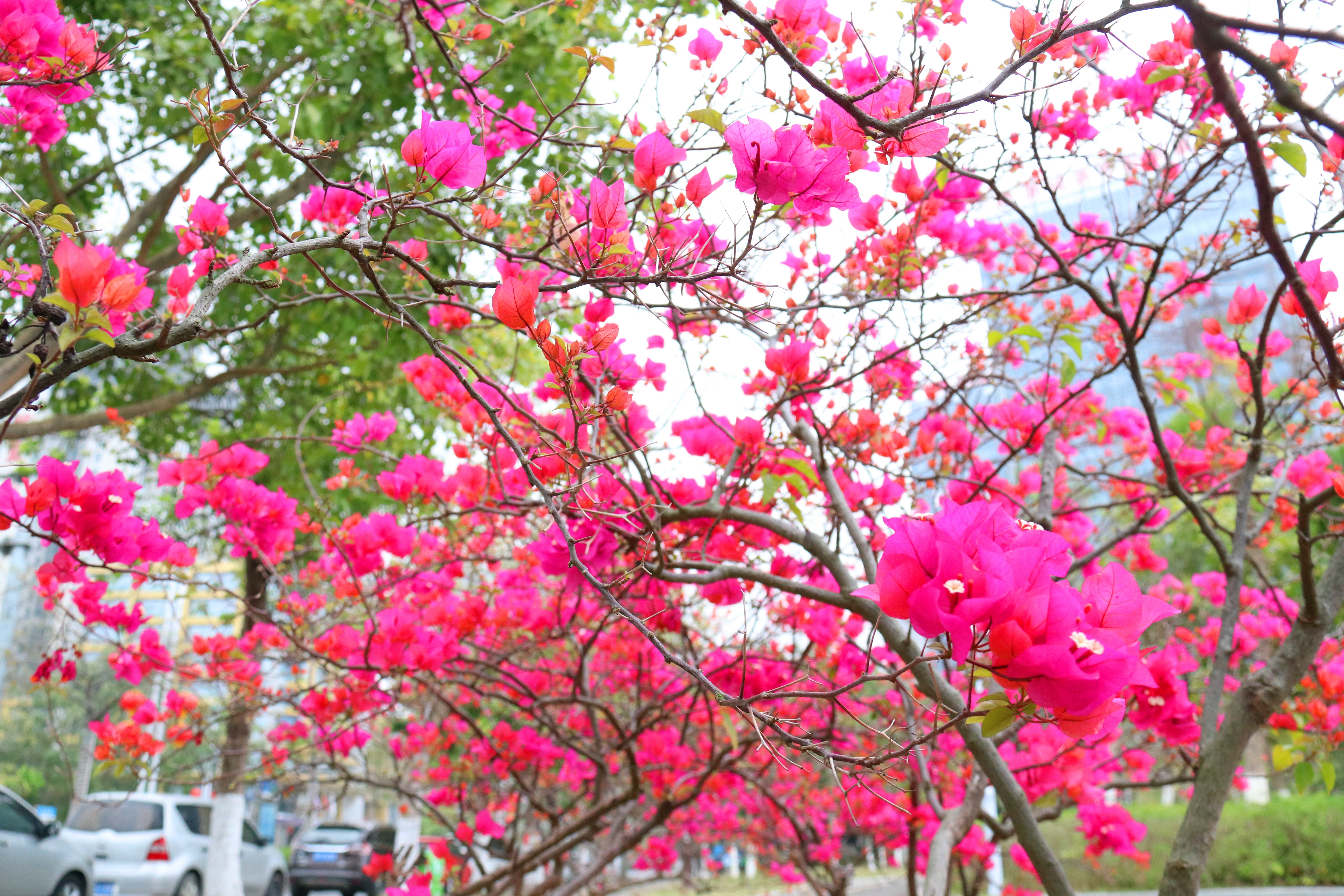 S36沙龙会 - 要玩就玩沙龙会