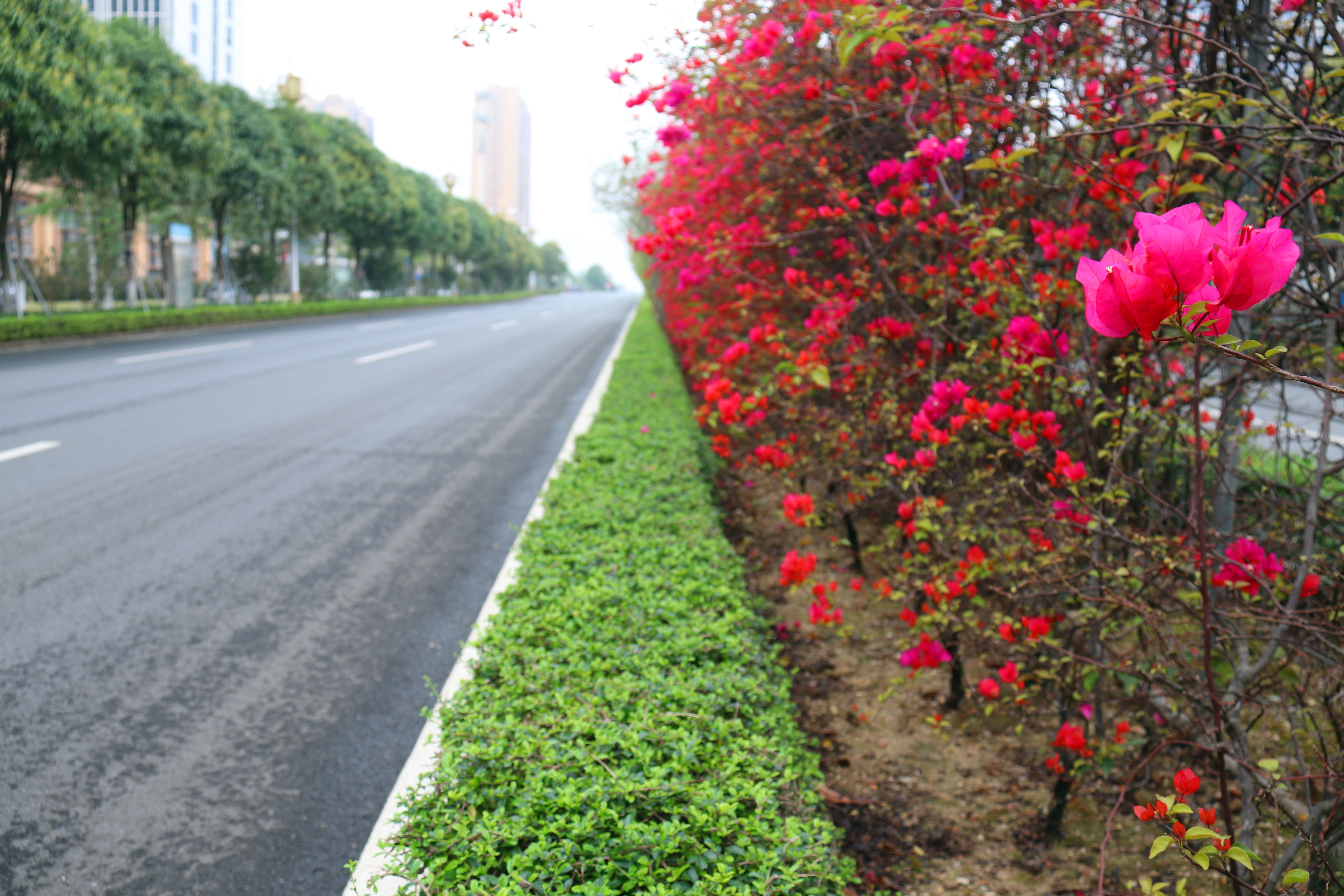 S36沙龙会 - 要玩就玩沙龙会