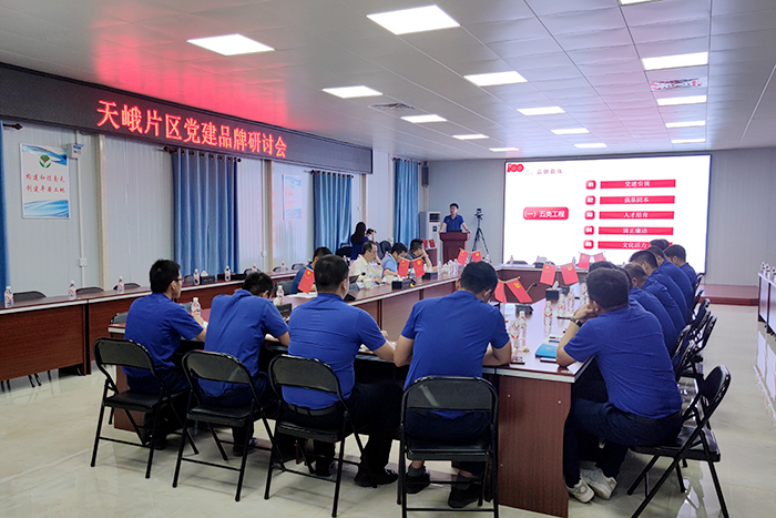 S36沙龙会 - 要玩就玩沙龙会