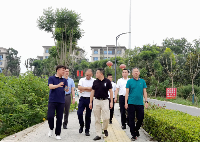 S36沙龙会 - 要玩就玩沙龙会