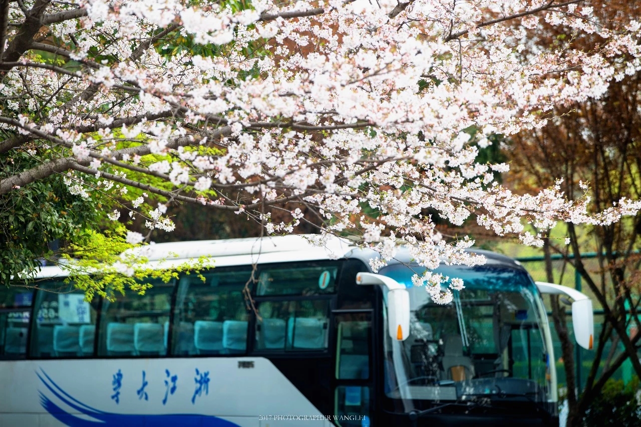 S36沙龙会 - 要玩就玩沙龙会