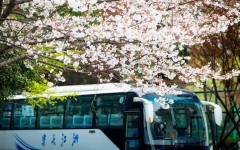 thumb_240_150_20210825035125100