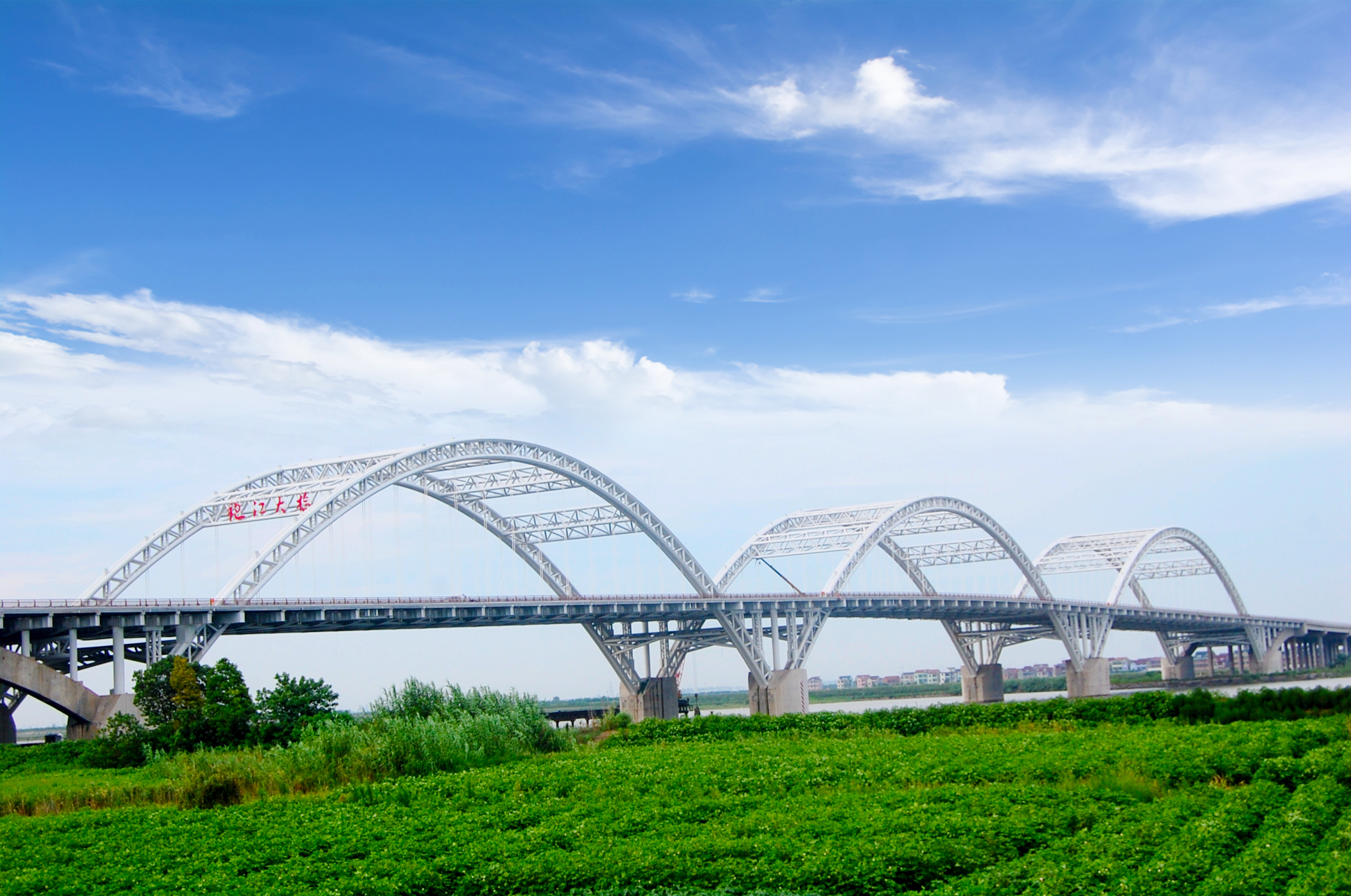 S36沙龙会 - 要玩就玩沙龙会