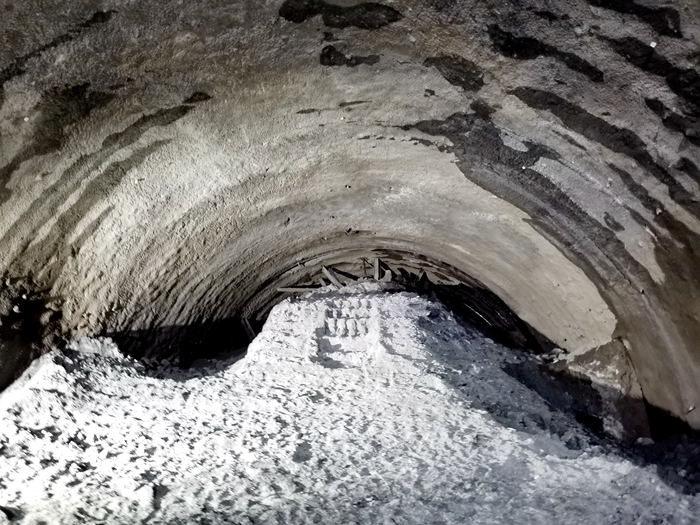 S36沙龙会 - 要玩就玩沙龙会