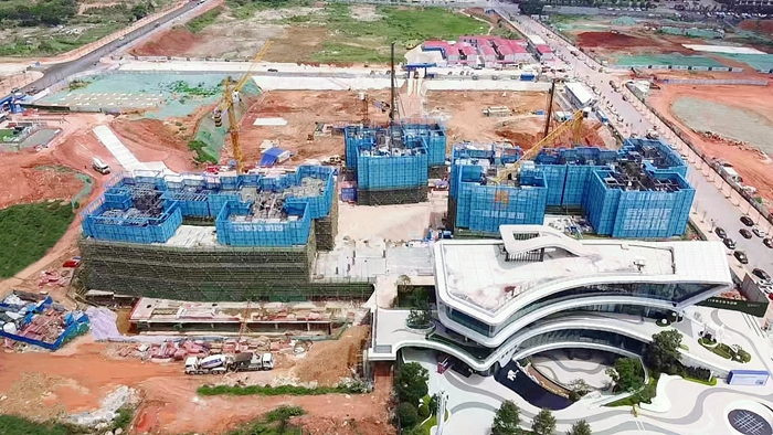 S36沙龙会 - 要玩就玩沙龙会