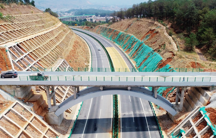 S36沙龙会 - 要玩就玩沙龙会