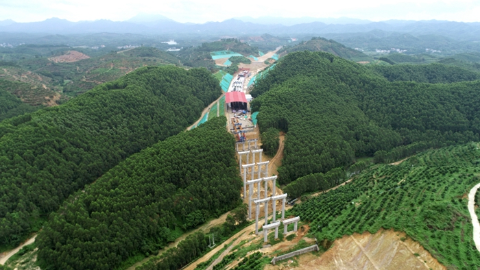 S36沙龙会 - 要玩就玩沙龙会