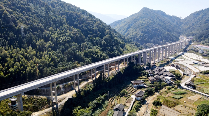 S36沙龙会 - 要玩就玩沙龙会