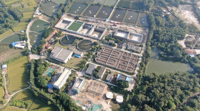 S36沙龙会 - 要玩就玩沙龙会