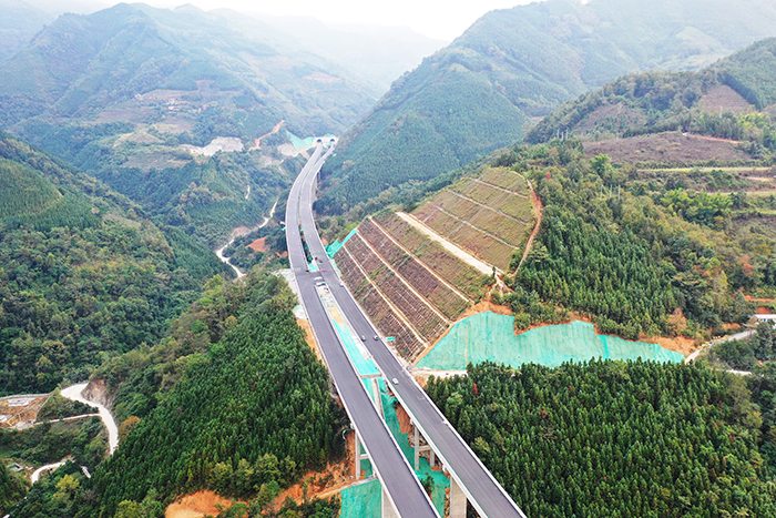 S36沙龙会 - 要玩就玩沙龙会