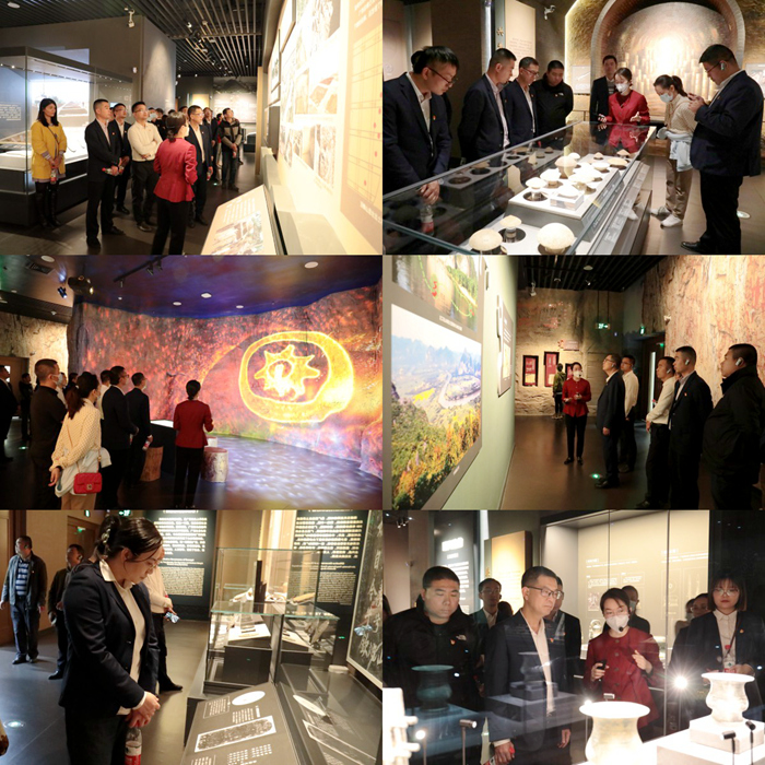 S36沙龙会 - 要玩就玩沙龙会