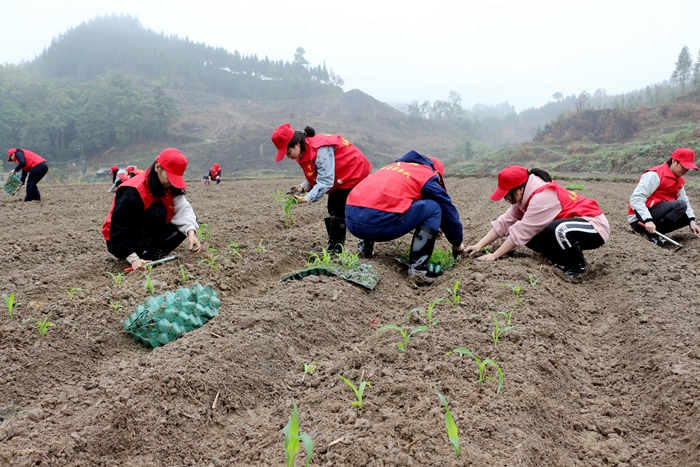 S36沙龙会 - 要玩就玩沙龙会
