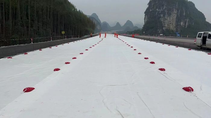 S36沙龙会 - 要玩就玩沙龙会