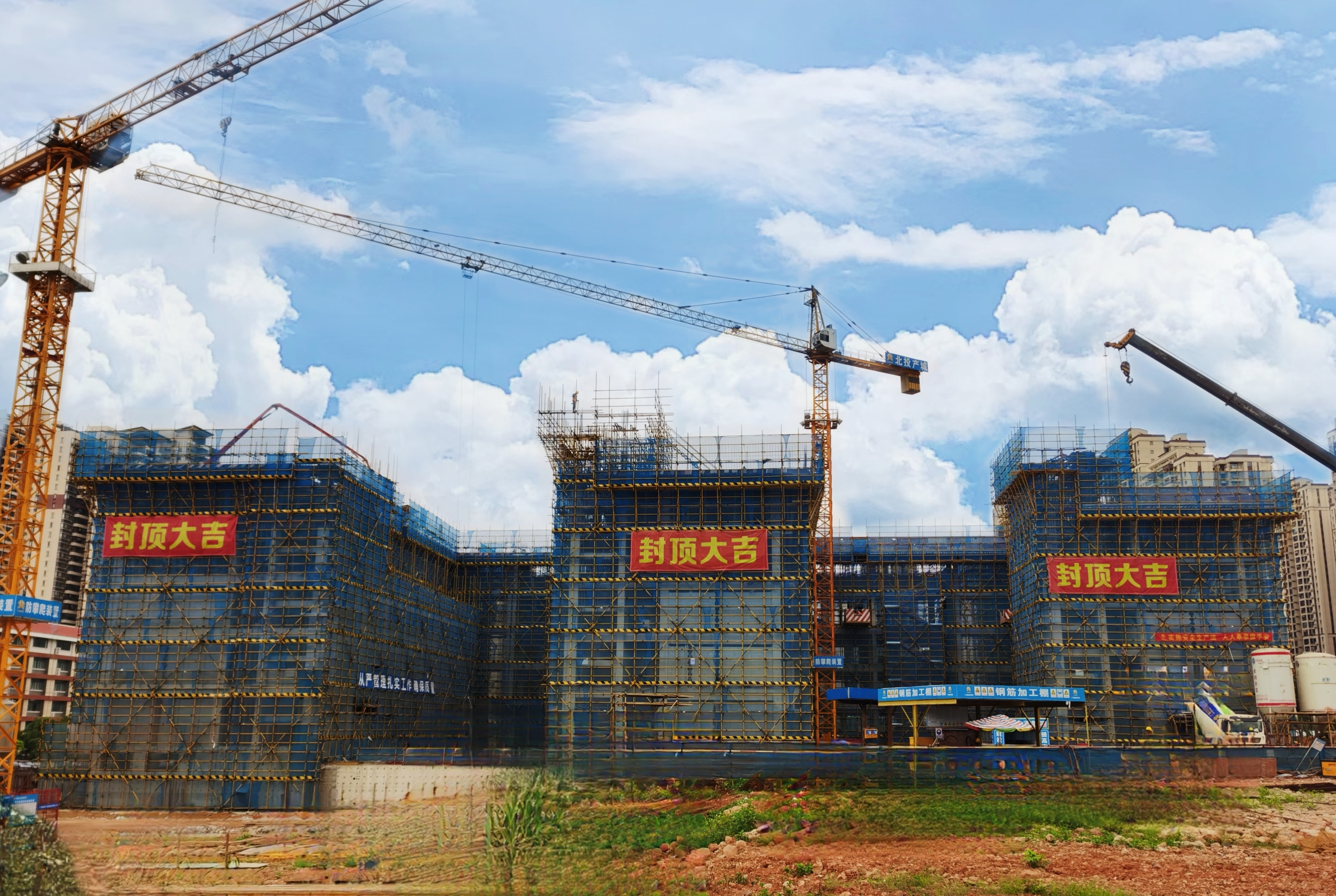 S36沙龙会 - 要玩就玩沙龙会