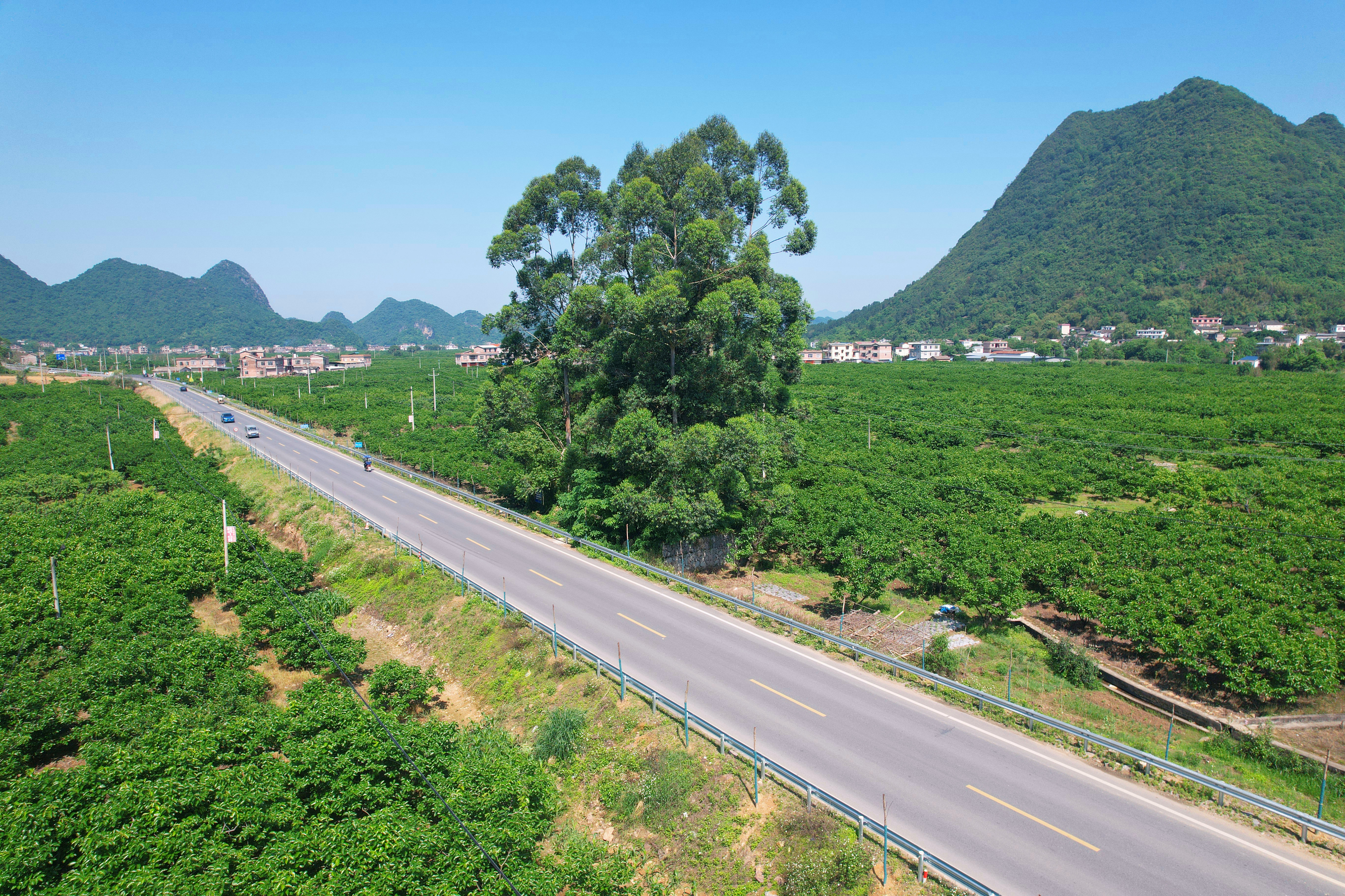 S36沙龙会 - 要玩就玩沙龙会