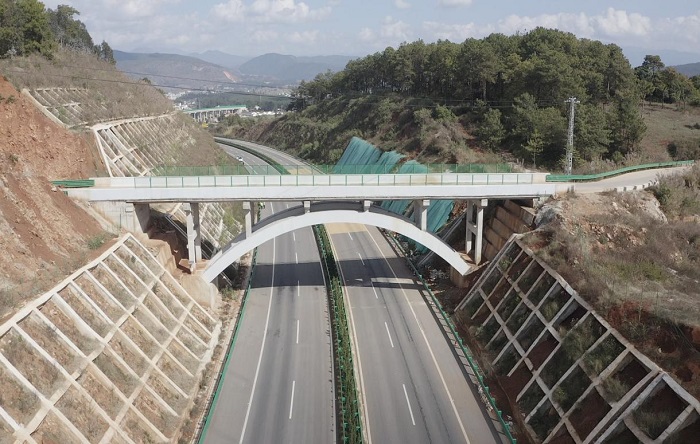 S36沙龙会 - 要玩就玩沙龙会