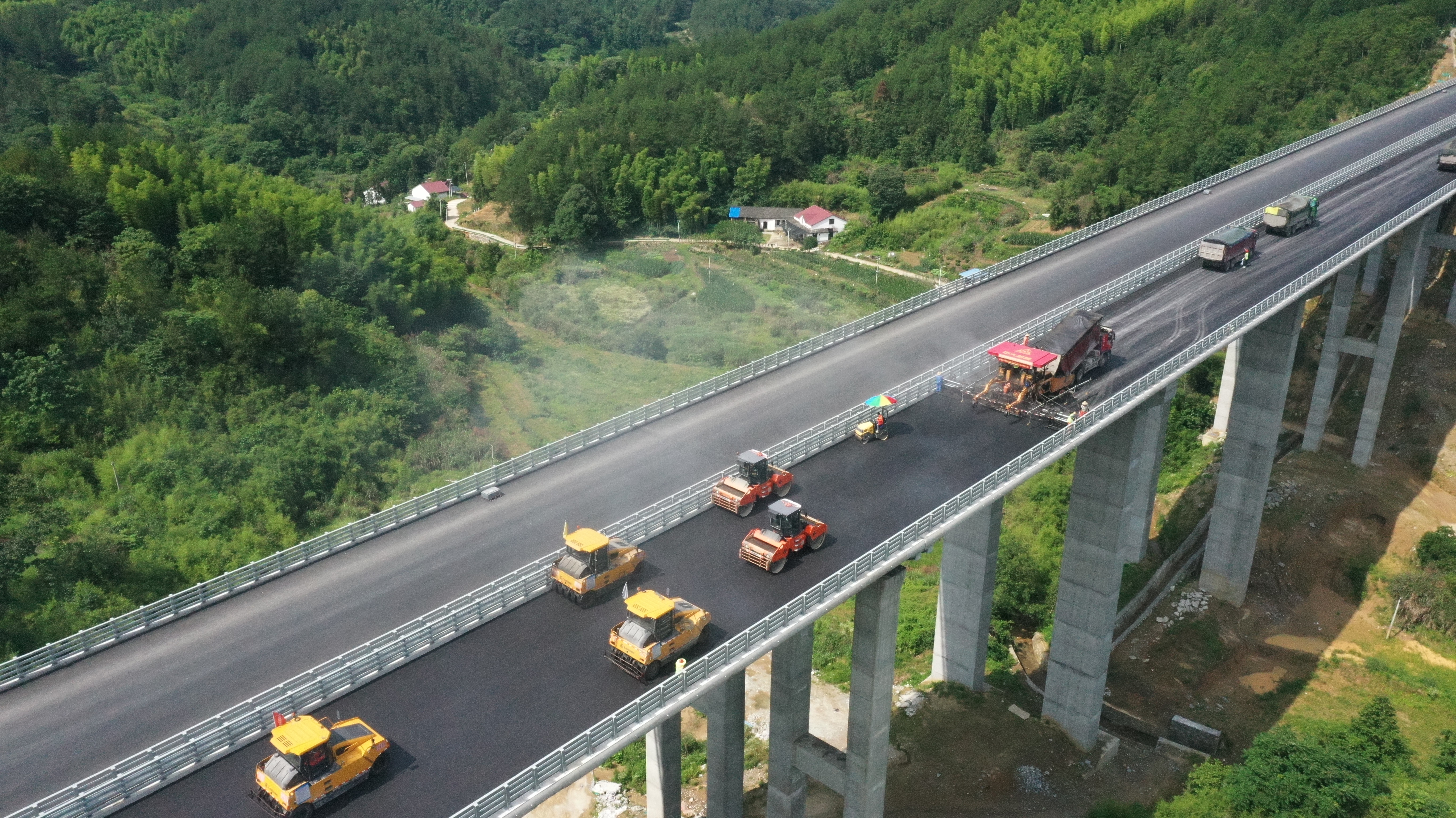 S36沙龙会 - 要玩就玩沙龙会