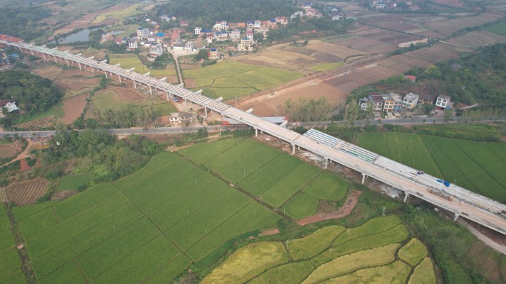 S36沙龙会 - 要玩就玩沙龙会