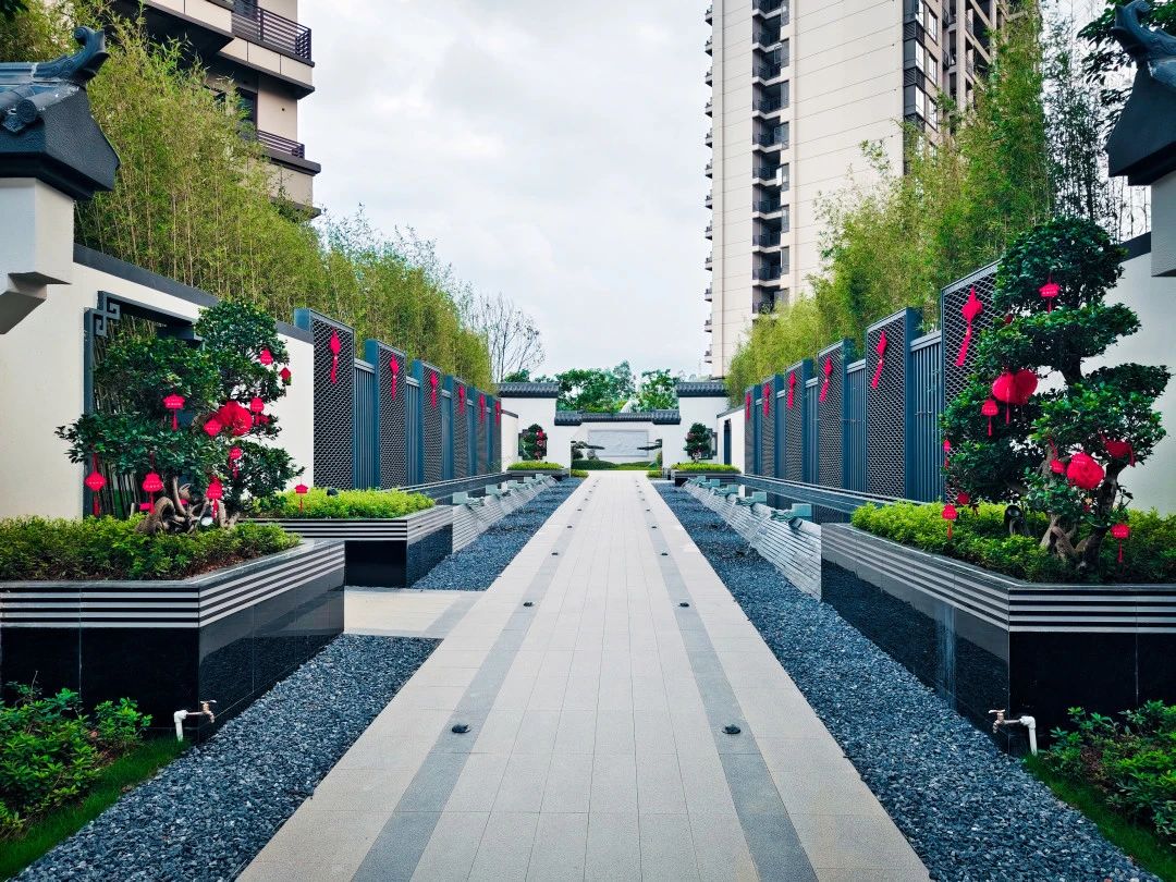 S36沙龙会 - 要玩就玩沙龙会