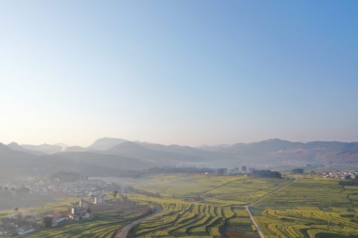 S36沙龙会 - 要玩就玩沙龙会