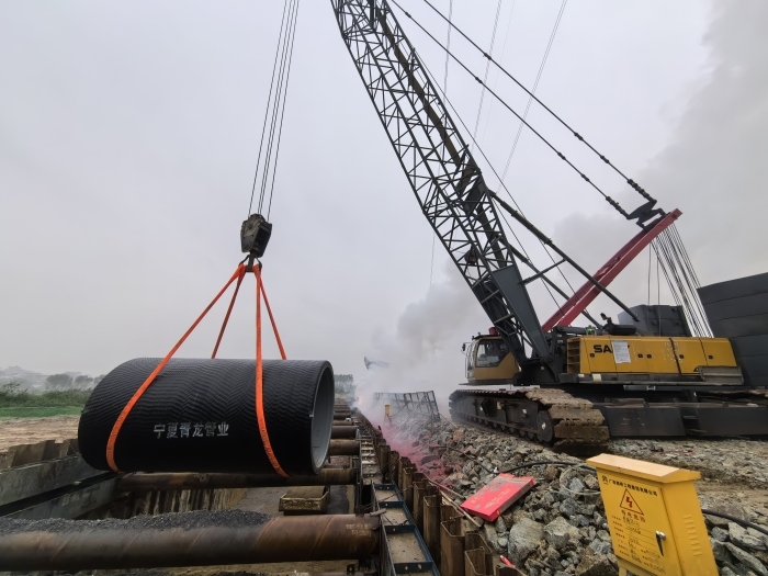 S36沙龙会 - 要玩就玩沙龙会