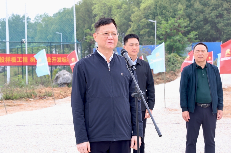 S36沙龙会 - 要玩就玩沙龙会