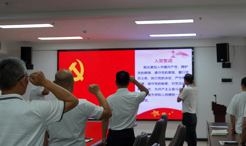 S36沙龙会 - 要玩就玩沙龙会