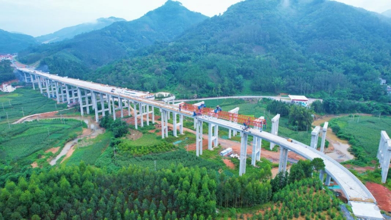 S36沙龙会 - 要玩就玩沙龙会