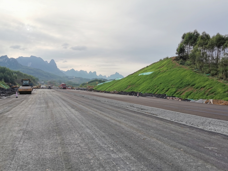 S36沙龙会 - 要玩就玩沙龙会