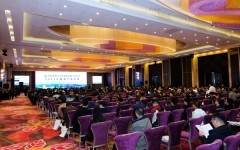 thumb_240_150_20241204030855929