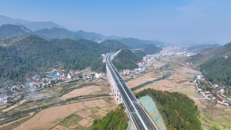 S36沙龙会 - 要玩就玩沙龙会