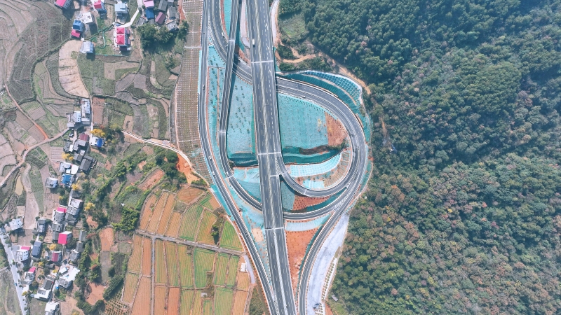 S36沙龙会 - 要玩就玩沙龙会