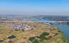 thumb_240_150_20250106044944600