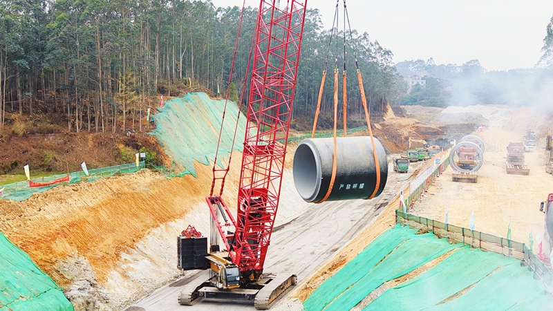 S36沙龙会 - 要玩就玩沙龙会