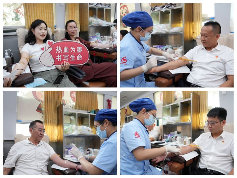 S36沙龙会 - 要玩就玩沙龙会