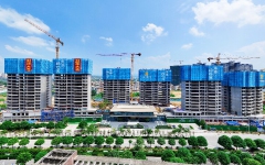 thumb_240_150_20250723103129741