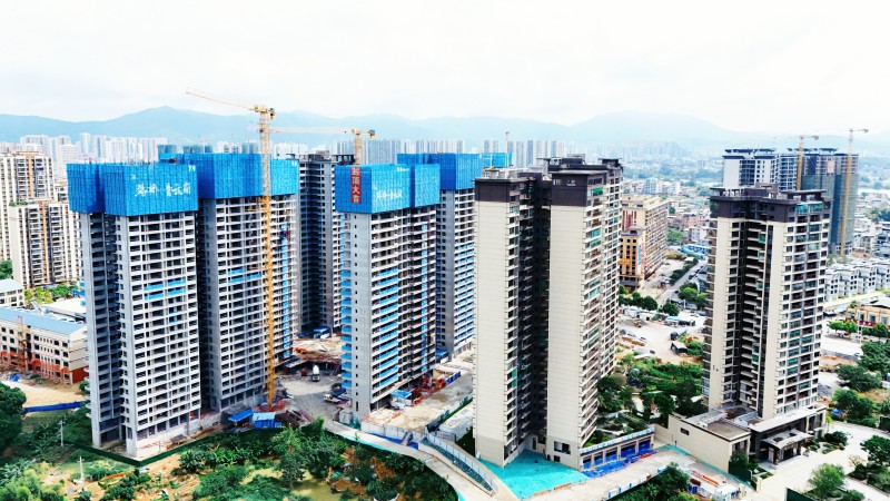 S36沙龙会 - 要玩就玩沙龙会